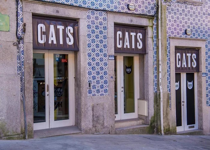 Cats PortoHostel